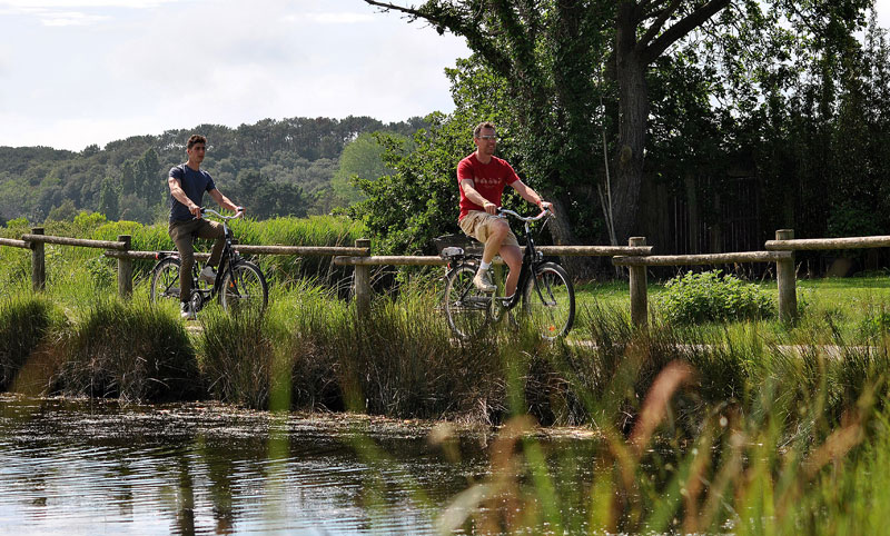 Dos hombres recorren un exuberante paisaje verde a lo largo de un arroyo cerca de Les d'Olonne, Pays de la Loire
