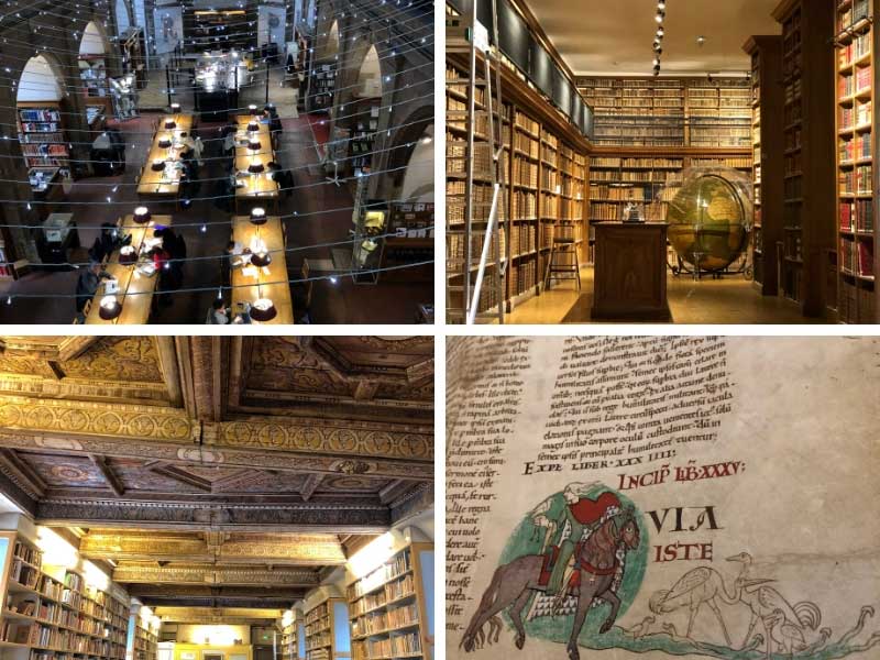 Biblioteca de Dijon, con salas antiguas de techos con vigas llenas de libros