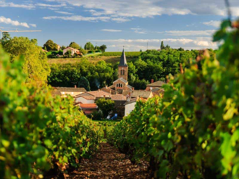 En un pequeño pueblo, la aguja de una iglesia sobresale por encima de los viñedos en Beaujolais, Borgoña