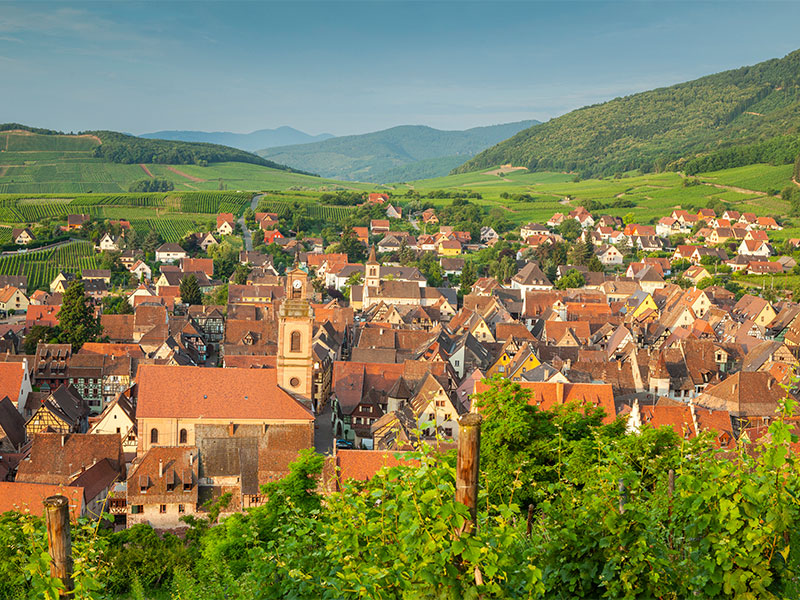Pueblo de Riquewihr, enclavado en los viñedos de Alsacia