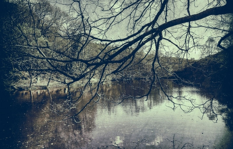 Lago brumoso y místico en el bosque de Broceliande en un día de invierno