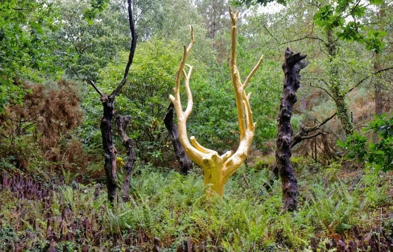 Un árbol hecho de material dorado en un bosque de árboles naturales