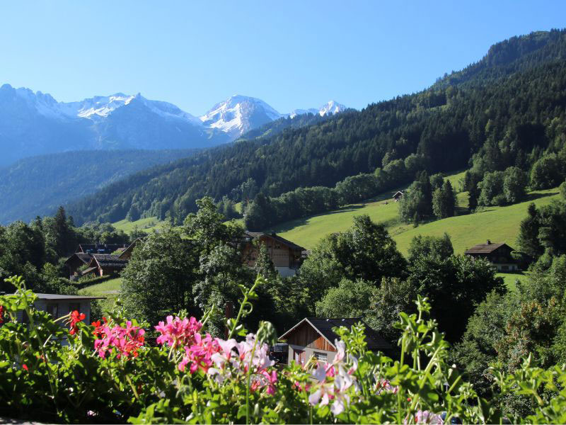 Vista de los Alpes franceses con prados de flores y montañas nevadas