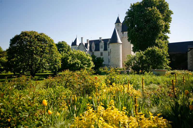 Campos de narcisos en flor alrededor del Chateau du Rivau, Valle del Loira