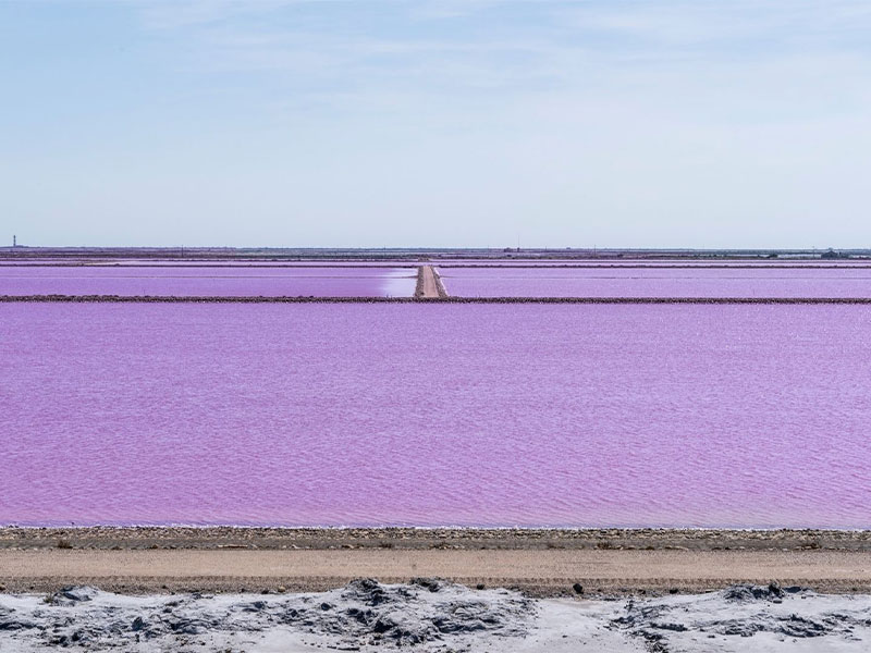 El mar rosa de Aigues-Mortes