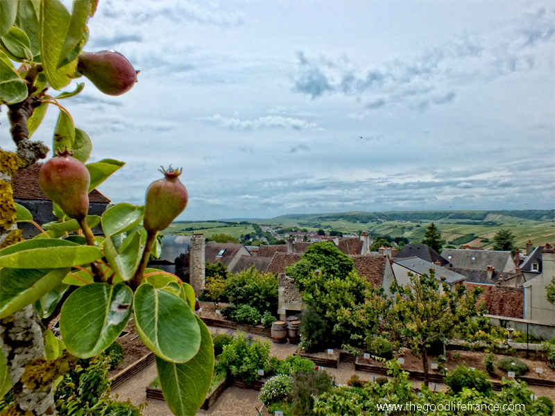 Vista desde una terraza en la cima de una colina sobre los viñedos de Sancerre, Valle del Loira