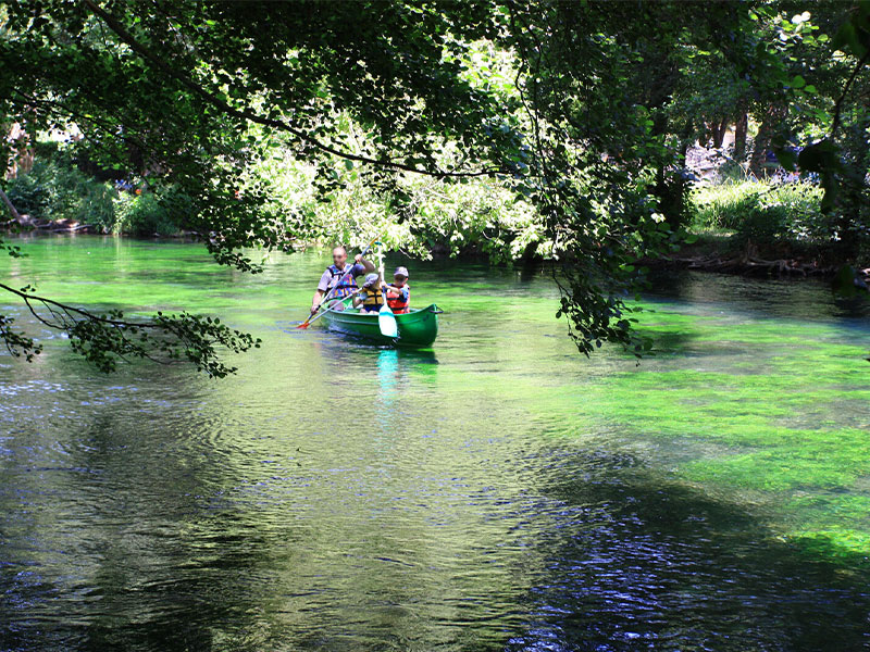 Canotaje en un río manso bajo un dosel de hojas verdes en Provenza