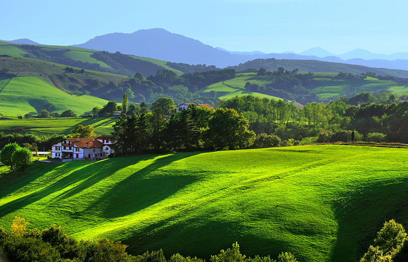 Verdes colinas salpicadas de pequeños bosques en el País Vasco, Francia