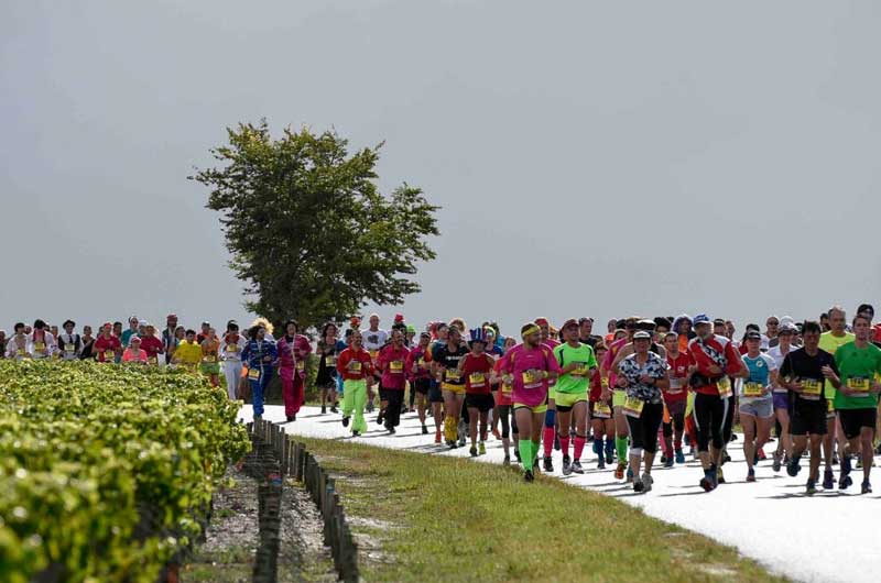 Corredores de maratón disfrazados participan en una carrera gourmet en Médoc, Burdeos