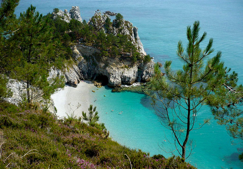 Una bahía secreta de arena blanca, pinos y mar turquesa en la costa de Bretaña