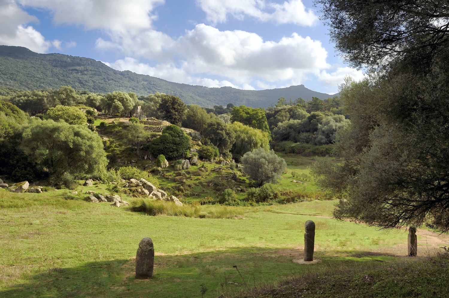 Filitosa, prehistoria y arqueología en Córcega