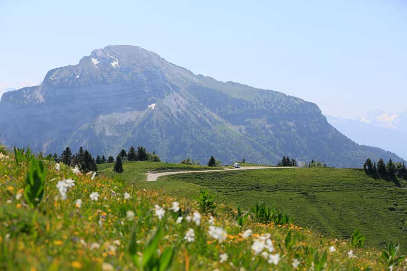 Montañas rodeadas de prados en flor, Chartreuse, Isère