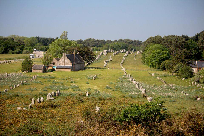 Largas filas rectas de rocas cortadas en bruto, una huella prehistórica en un campo verde bajo un cielo azul