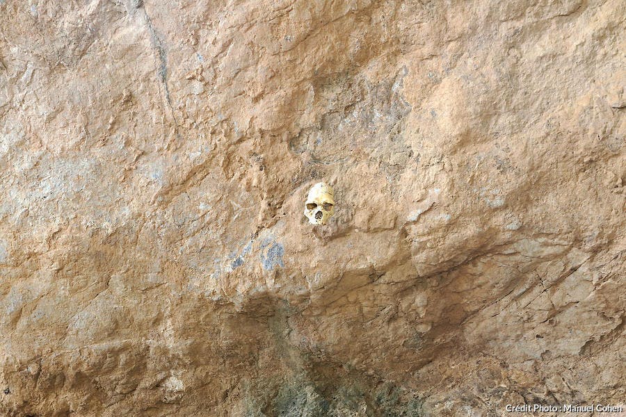 Cráneo del Hombre de Tautavel, en la muralla de la Caune de l'Arago o la Gruta de Tautavel