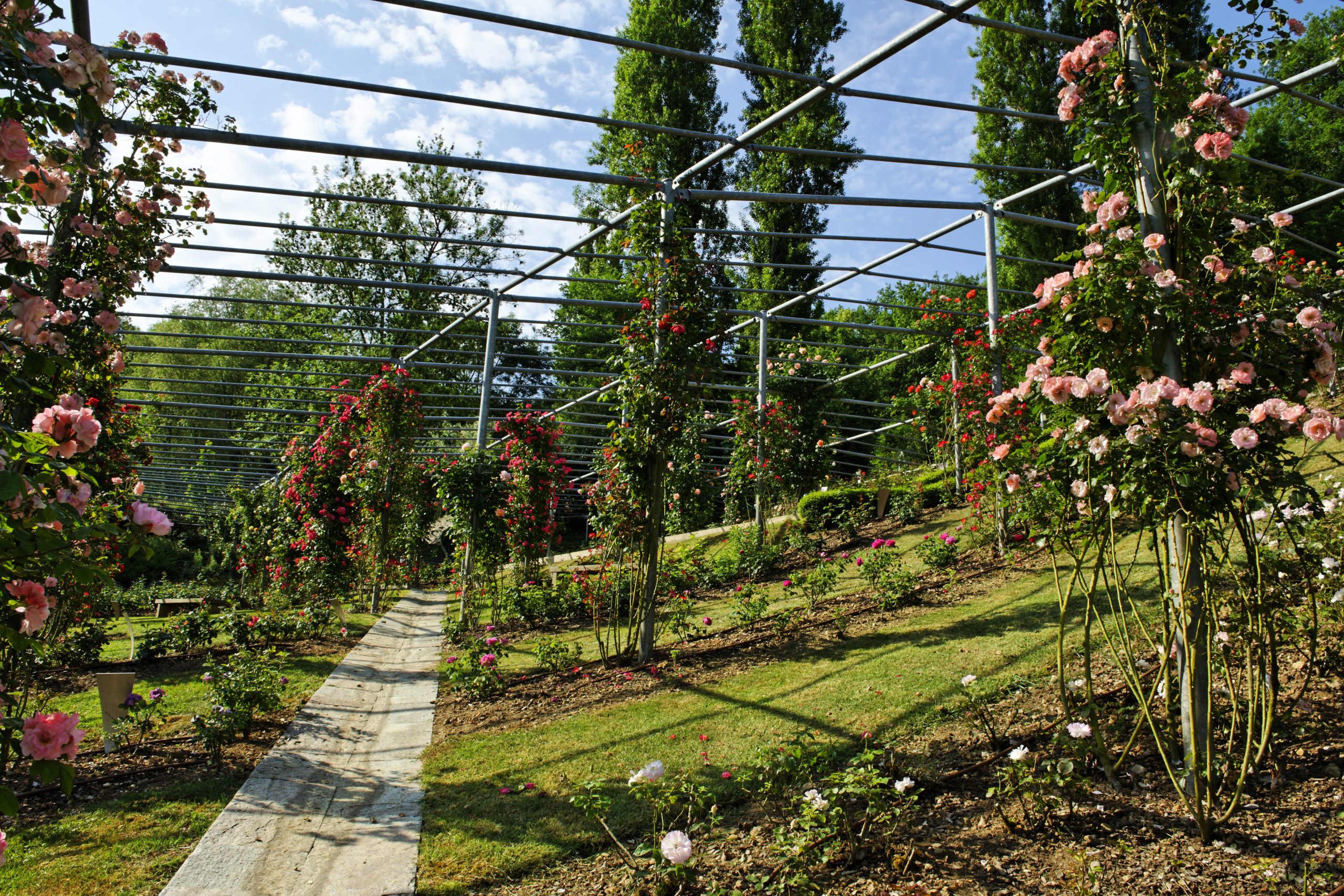 Los 5 jardines más bellos de Dordoña