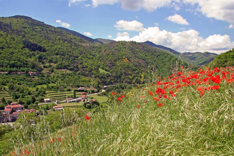 Hermoso valle con amapolas que crecen en campos alrededor de montañas y aldeas, Ardeche
