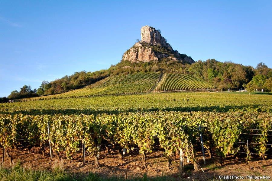 La roca Solutré domina el viñedo de Mâconnais, en Borgoña 