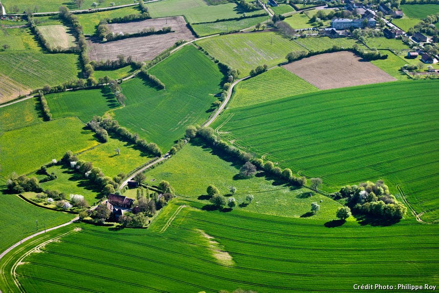 La Puisaye, paisaje agrícola de Borgoña 
