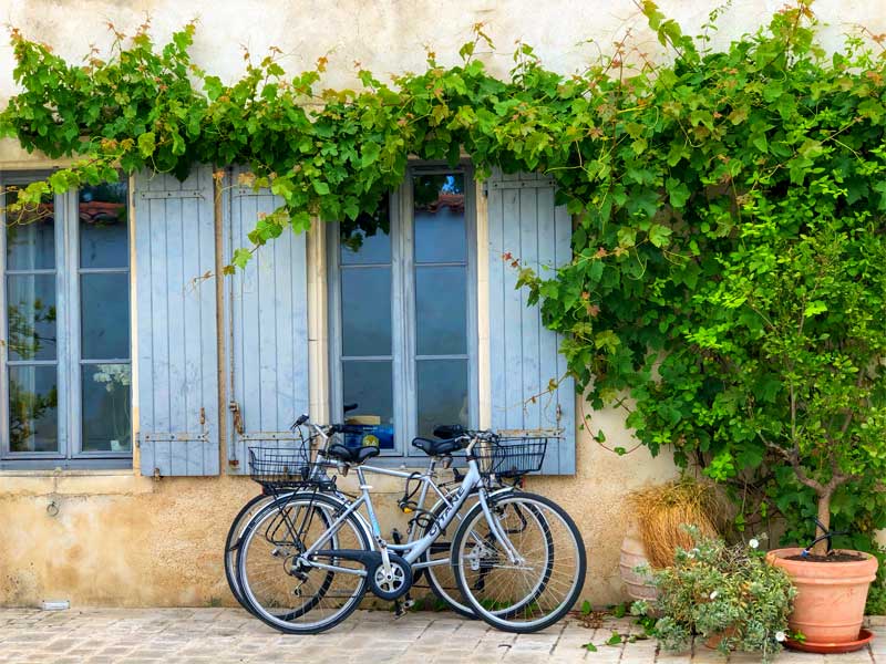 Dos bicicletas apoyadas contra una pared con vides creciendo sobre ella, Ile de Re, Francia