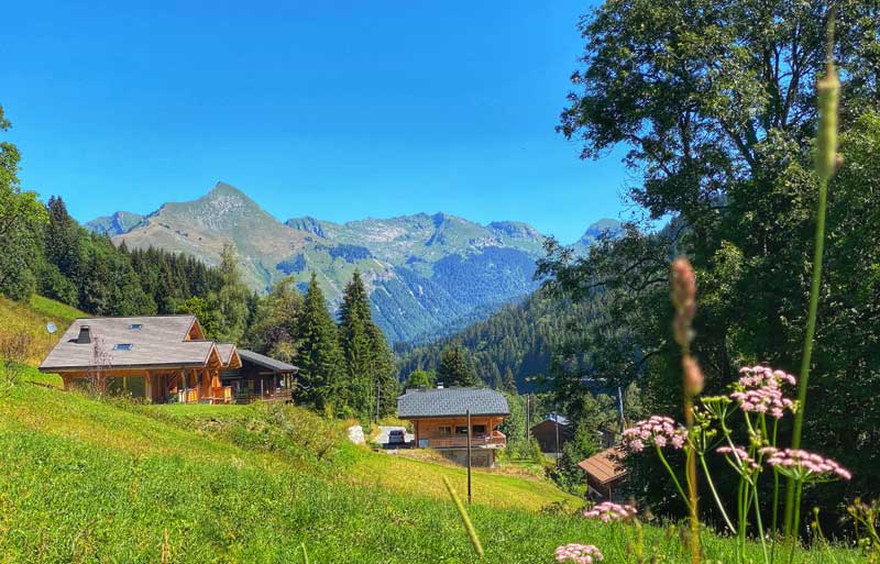 Cielo azul, rico paisaje verde con flores alpinas en verano en Les Gets