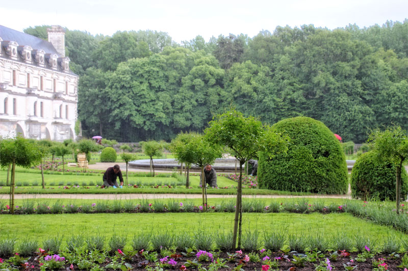 Los jardineros trabajan bajo la lluvia en el castillo de Chenonceau