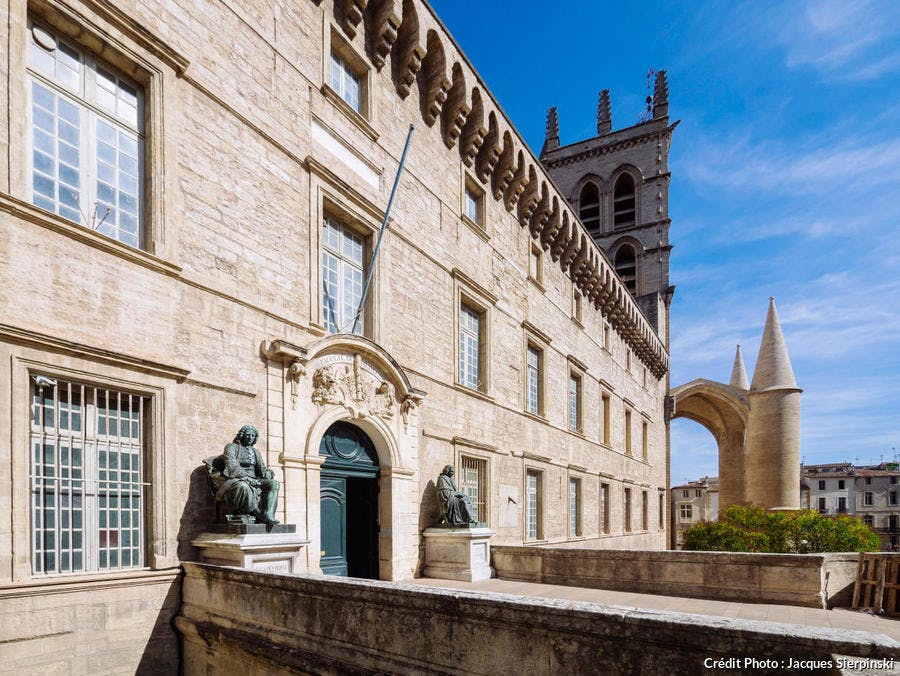 Montpellier, Facultad de Medicina y Catedral de Saint-Pierre 