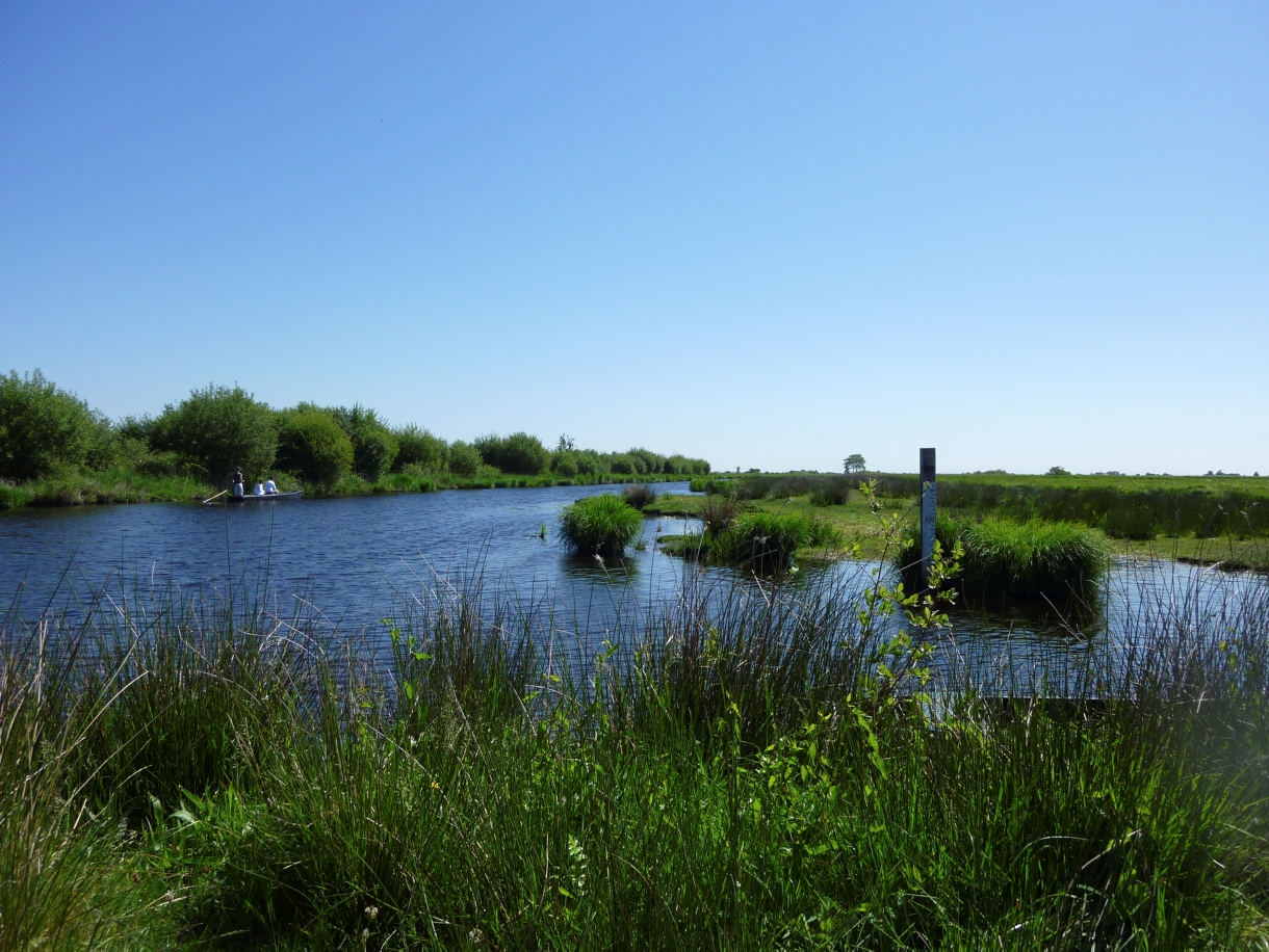 El pantano de Brière: la laguna misteriosa