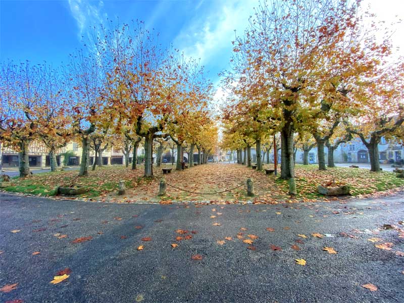 Las hojas de otoño caen de los árboles en la plaza redonda, la única en Francia en Fources en Gers