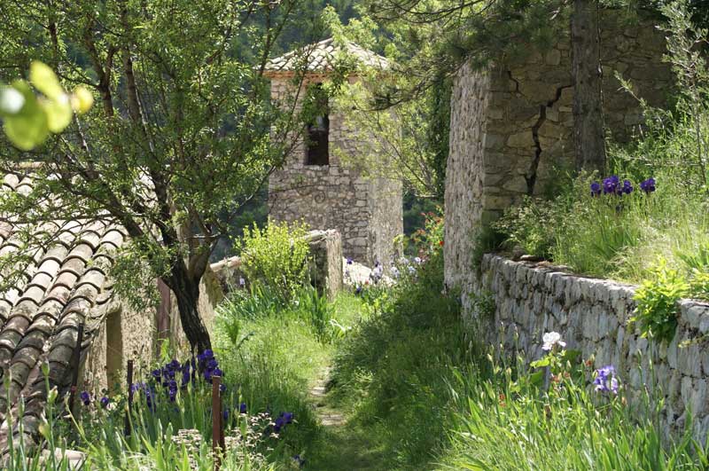 Jardín salvaje lleno de lirios morados y blancos, rodeado por un muro de piedra en Brantes, Provenza