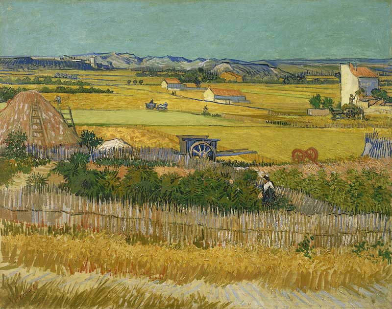 Pintura de Van Gogh de la cosecha de trigo en el sur de Francia.