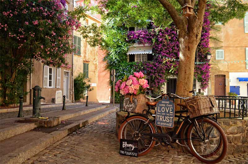 Empuje la bicicleta con una cesta llena de flores en una plaza sombreada en St Tropez, Francia