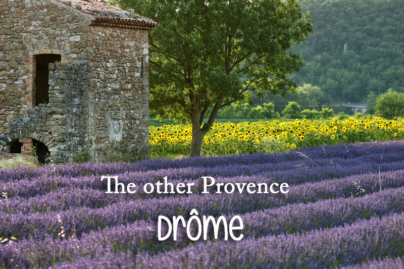 Drome Ródano Alpes |  Campos de lavanda, viñedos y pueblos medievales