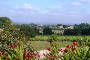 Una guía local para pasear por Saint-Rémy-de-Provence