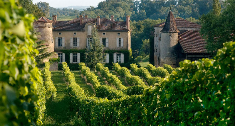 Antigua casa rodeada de viñedos en Gascuña Francia