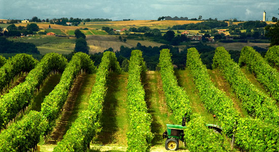 Impresionante tour de vino y armagnac por Gascuña, Gers y Mediodía-Pirineos