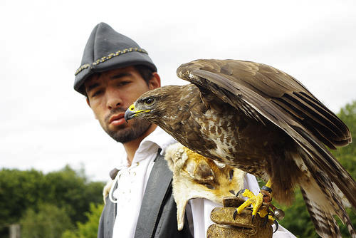 Halcón sentado en la mano enguantada de un experto en aves rapaces en el parque temático Puy du Fou, Francia