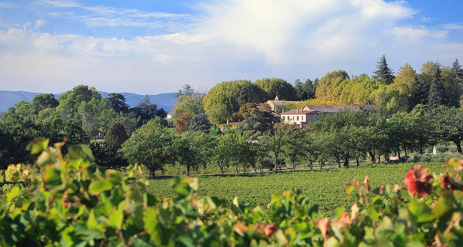 Finca vinícola Château Sainte Roseline