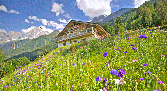 La primavera y el verano son la época perfecta para visitar los Alpes franceses