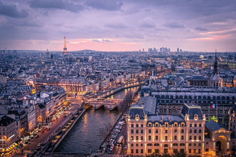 Vista de París desde lo alto de Notre Dame, la Torre Eiffel en la distancia