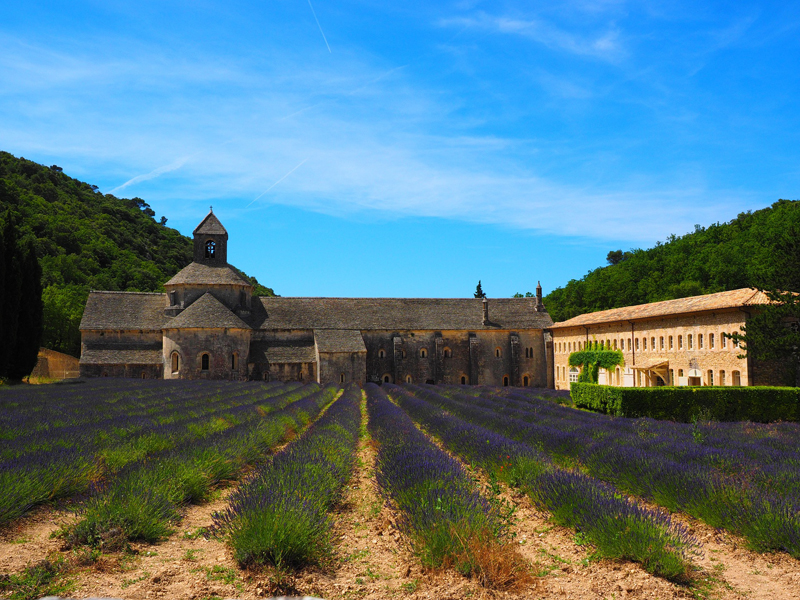 La historia de la Abbaye de Senanque, Provenza