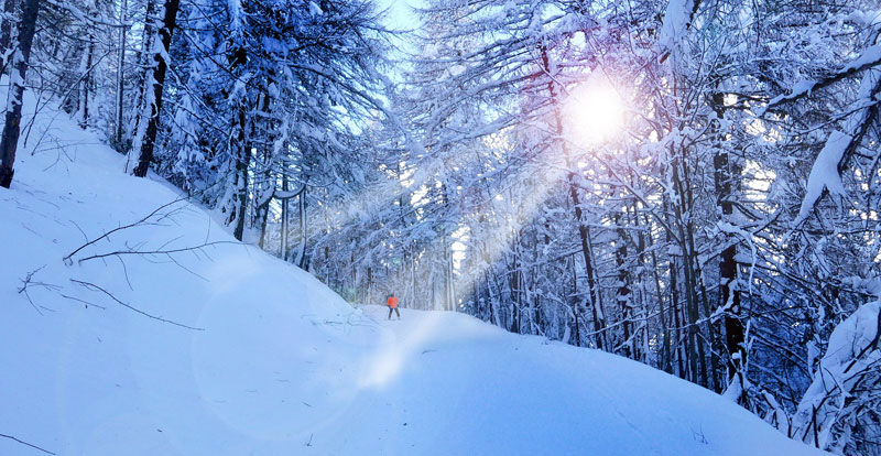 Por qué Montgènevre ofrece uno de los mejores lugares para esquiar en los Alpes franceses