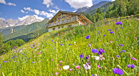 Brillantes vacaciones de verano en los Alpes franceses