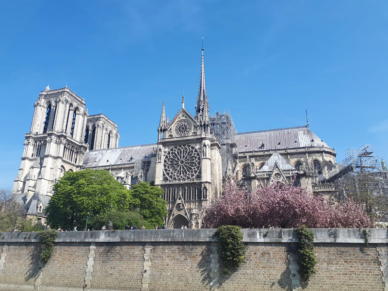 La Catedral de Notre Dame de París, con árboles en flor a su alrededor, tomada antes de que estallara el incendio el 15 de abril de 2019.