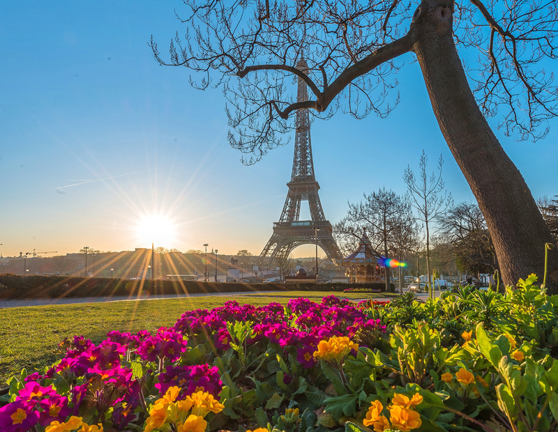 Eiffel Tower Paris under a blue sky, flowers in bloom around it, perfect spring day