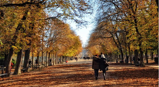 Diez razones para visitar París en otoño
