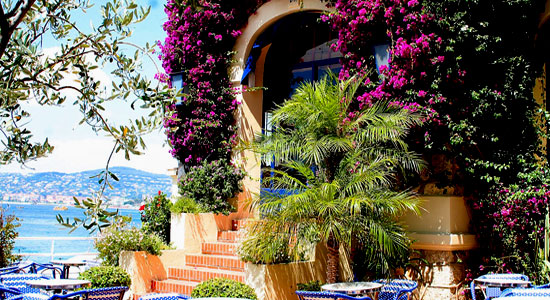 Entrance of the hotel Belles-Rives in Antibes with purple bougainvillea growing round the door