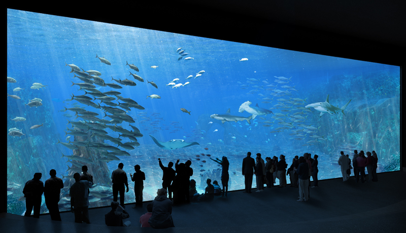 NAUSICAA Boulogne-sur-mer |  Uno de los acuarios más grandes del mundo.