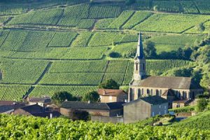 Región vinícola de Borgoña