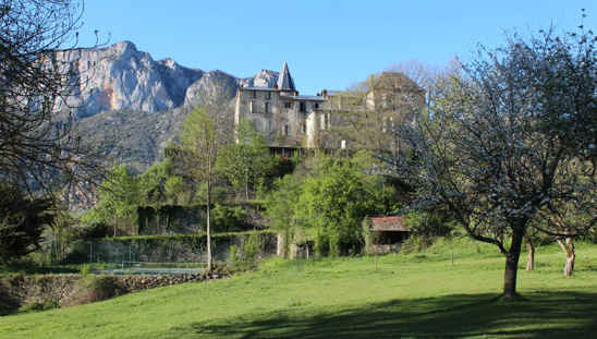castillo francés