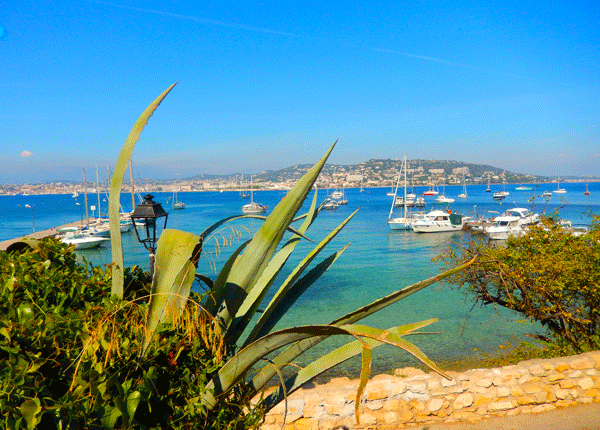 Isla Santa Margarita Cannes